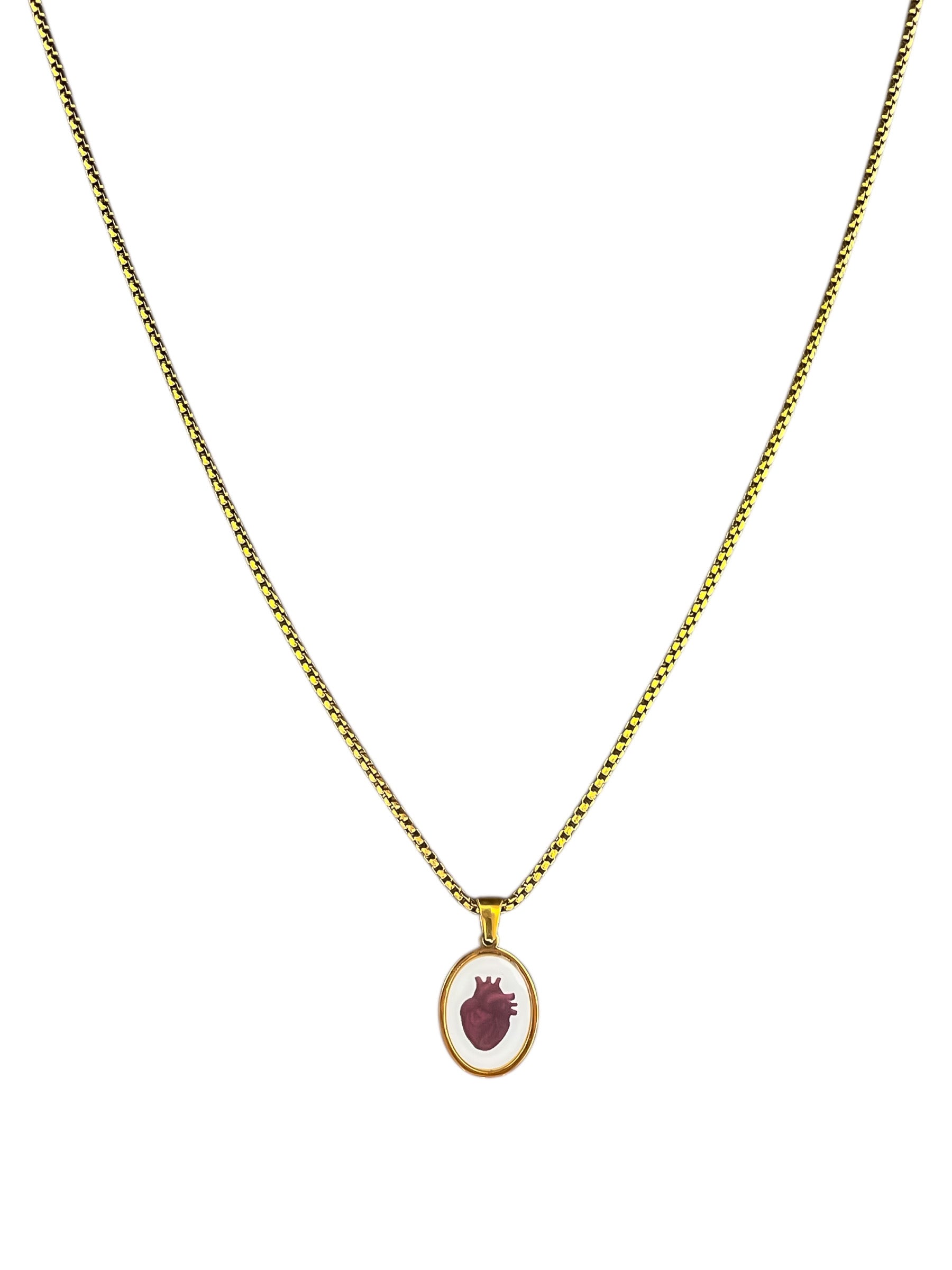 Collana Targhetta Cuore Anatomico